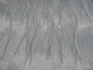 sand-dunes-with-tunes